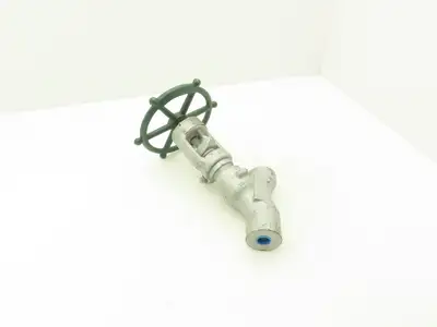 Rockwell Edward B36124 Univalve Globe Valve Y-Pattern 1/2"Socket Weld 1880psi