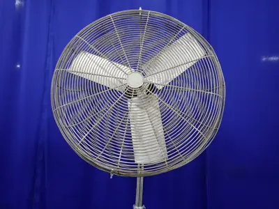 30" Fan