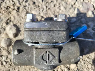 3/4" Class 800 Check Valve API 602
