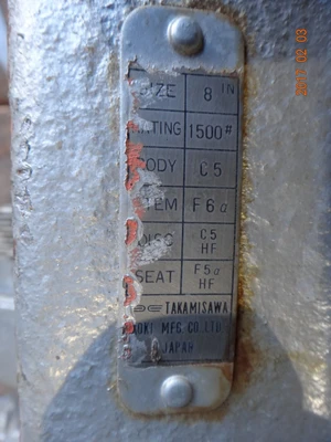 Takamisawa 8", Class 1500, C5, Gate Valve
