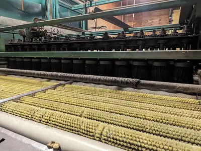 Pumpkin Squash Inspection & Cleaning Line