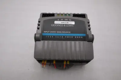 GIDDINGS & LEWIS M.1300.7372 R1 Input Module 24VDC SINK/SOURCE STOCK 642-D