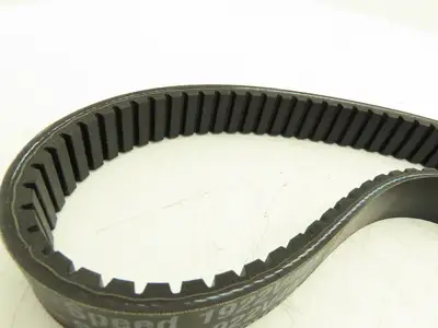 Gates 1922V403 Timing Belt Multi-Speed 31mm W 100-Tooth 76"