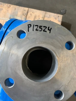 USED Goulds 3796