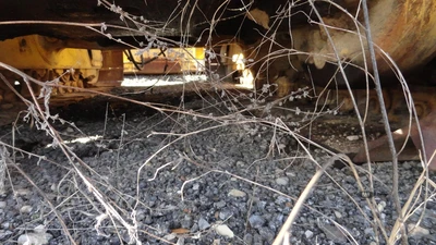 Used 1995 KOMATSU D65PX-12 LGP Crawler Dozers Tennessee US | Ran Equipment #1403728