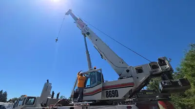 Used 2008 LINK-BELT HTC-8690 Telescopic Boom Lifts California US | Ben Kaplan Equipment #1233508