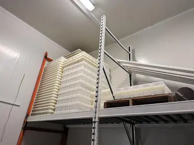 Cheese Molds