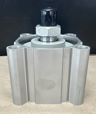 NEW SMC CDQ2B100-30DCMZ-M9BSAPC-R08US