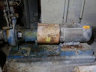USED GOULDS 3196