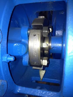 USED Goulds LF 3196