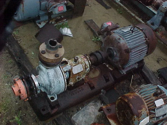 USED GOULDS 3196