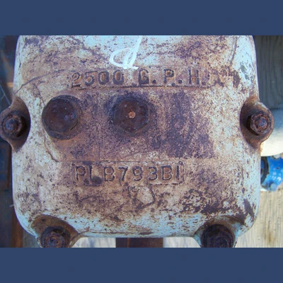Fairbank Morse Duplex Piston Pump