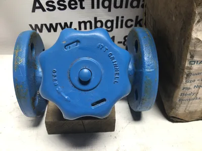 ITT Grinnell 1″ Manual Iron Flanged Diaphragm Valve 2552-2 303 104