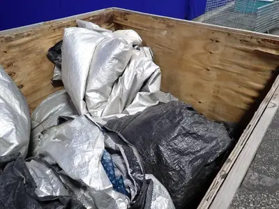 Tarps