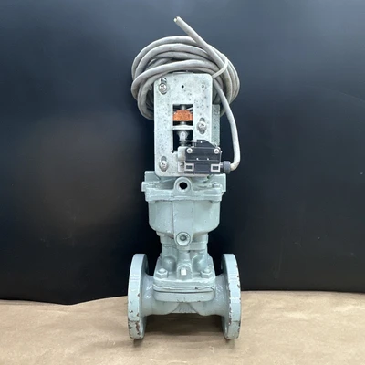 Used Nippon Daiya Valve Co. LTD HNT14N-10 Valves/Fittings Indiana US | J&J Industrial Supply #1326720