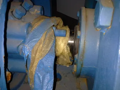 USED Goulds 3175