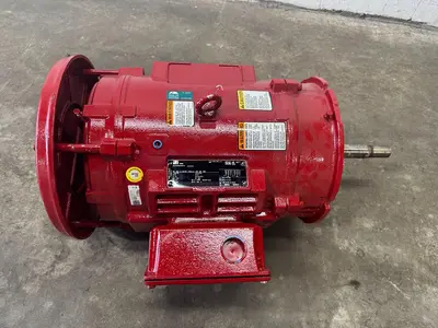 WEG Inverter Motor