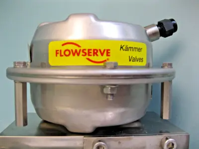 Used Flowserve 1917P2 Valves/Fittings New Hampshire US | Bitter End Trading #1452875