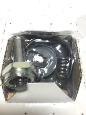Asco 1AKU3/T26521783 Solenoid Valve Replacement Repair Kit