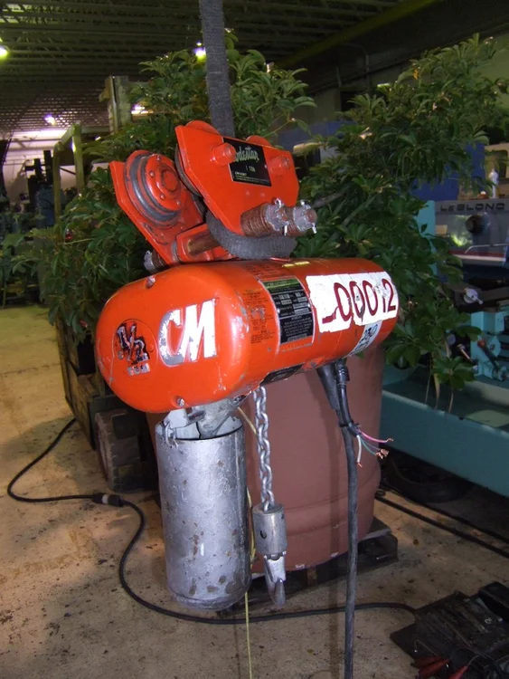 Used CM F Hoists (All Types) Minnesota US | INTER-PLANT SALES #343512