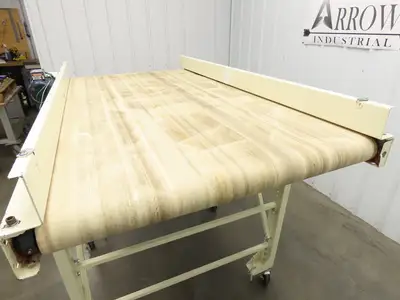 Used EMI PLASTICS _UNKNOWN_ Belt Conveyors | Arrow Industrial #561596