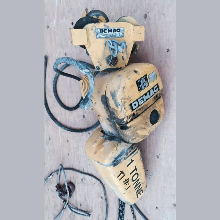 Used _UNKNOWN_ _UNKNOWN_ Hoists (All Types) British Columbia CA | Savona Equipment LTD #1170541