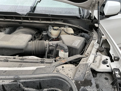 Used 2021 CADILLAC ESCALADE SUVs Michigan US | Miedema Asset Management Group #1320386