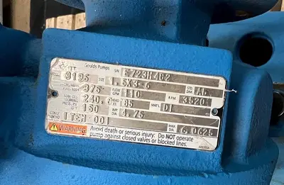 USED GOULDS 3196