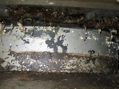 Voith Sulzer 12 Combisorter Detrashing Screen