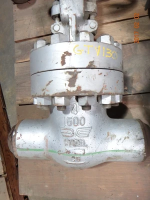 Takamisawa 4", Class 1500, C5, Gate Valve