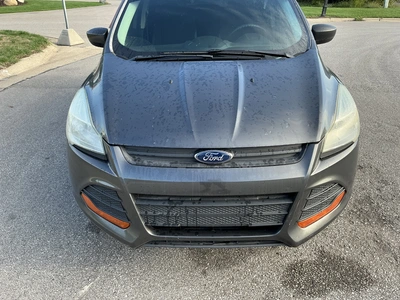 Used 2016 FORD ESCAPE SUVs Michigan US | Miedema Asset Management Group #1406841