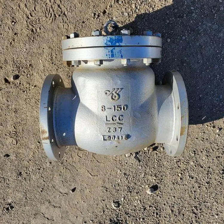 Used DSI _UNKNOWN_ Valves/Fittings British Columbia CA | Lenmark #256564
