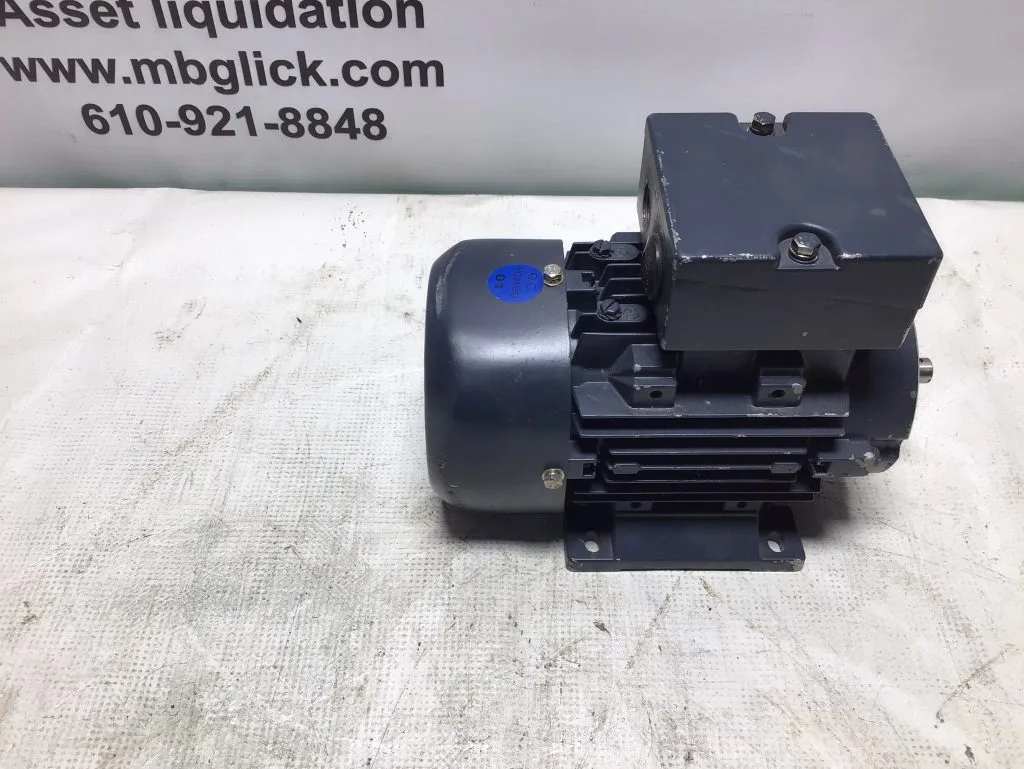 Leeson IEC Metric Motor 192018.30