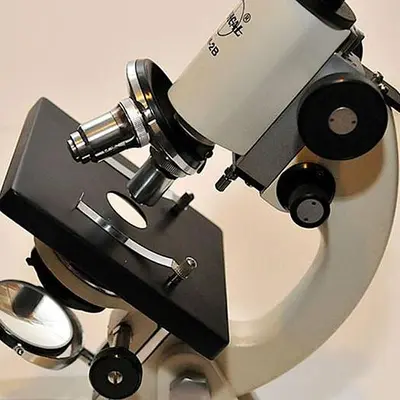 Student Compound Microscope RM-2B