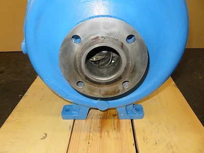 USED Goulds 3196 MTX
