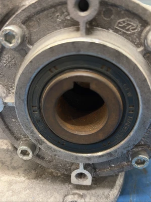 New | in-Stock Bonfiglioli Bonfiglioli VF49P124P71B5B3 Gearboxes Indiana US | J&J Industrial Supply #1427142