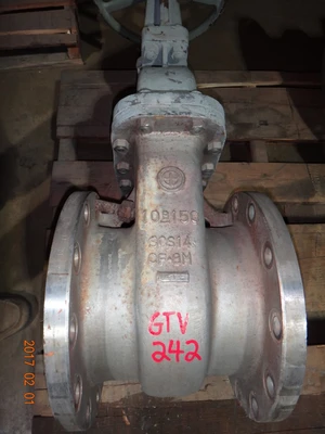 Wada 10", Class 150, CF8M, Gate Valve