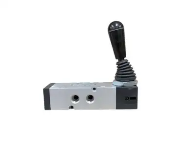 Belgrade CAMOZZI MANUAL Misc. | Iron Listing (1)
