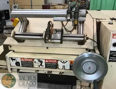 USED 2001 RAIMANN VARIORIP KM 310 BV GANG RIP SAW