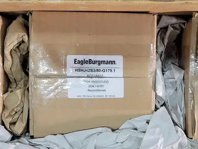 NEW EAGLE BURGMANN HSHJ42S3/80-G179.1