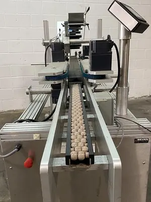 Associated Two-Head Top & Bottom Labeller
