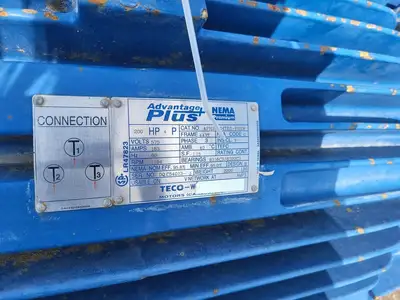 USED GOULDS 3196