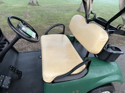 (1) 2015 E-Z-Go golf cart with a Kawasaki gas engine, includes canopy, ball cover, club cover, fold-...