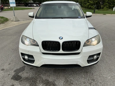 Used 2010 BMW X6 Tracked Mud Buggy Michigan US | Miedema Asset Management Group #1474468