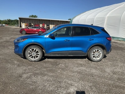 USED 2020 FORD ESCAPE
