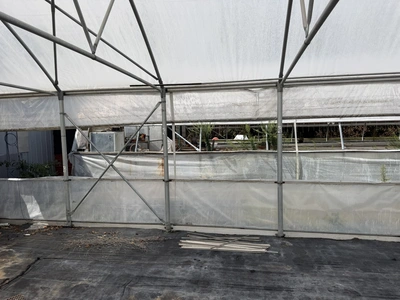 Used _UNKNOWN_ _UNKNOWN_ Greenhouse Equipment Michigan US | Miedema Asset Management Group #1396137
