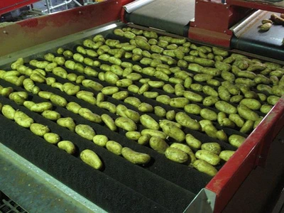 New | in-Stock TONG ENGINEERING _UNKNOWN_ Food Washing Georgia US | Snap Equipment #1546480