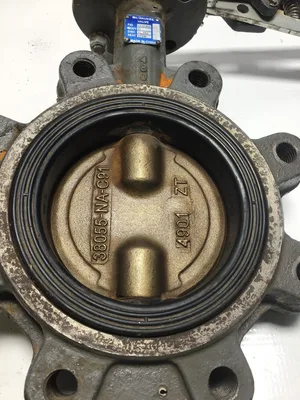 Milwaukee Valve CL223ED-38055-NA-C91 Butterfly Valve