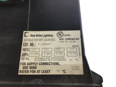 Day-Brite Lighting FLI250MMT Floodlight 250W 120V 60Hz 2.60A