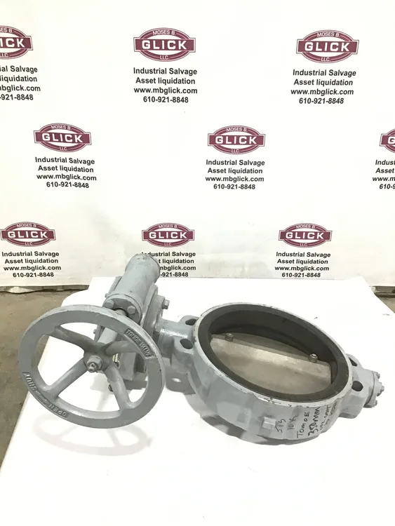 Used TOMOE _UNKNOWN_ Valves/Fittings Pennsylvania US | Moses B Glick #989797